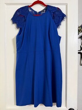 Brixon Ivy Royal Blue Lace-Trim Midi Dress
